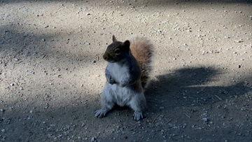 番鼠爆料视频大全下载,揭秘热门话题背后的真相  第3张